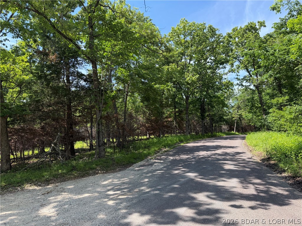 Great Building Sites! Tons of possibilities. 9 Acres of mostly level wooded acreage. Seller will sell in 3 acre+/- parcels or buy all for a total of 9+/- Acres. Located at the Jct of Captains Fancy and Camp Sharon Roads.  Approximately 800' of road front on Captains Fancy Rd and 540' on Camp Sharon.  Close to blacktop and Gravois Fire Station.  Great Lake Fun with Mermaid Cove and Lake Burger a short distance away.  Also see 3 Acre parcel MLS #3587818
