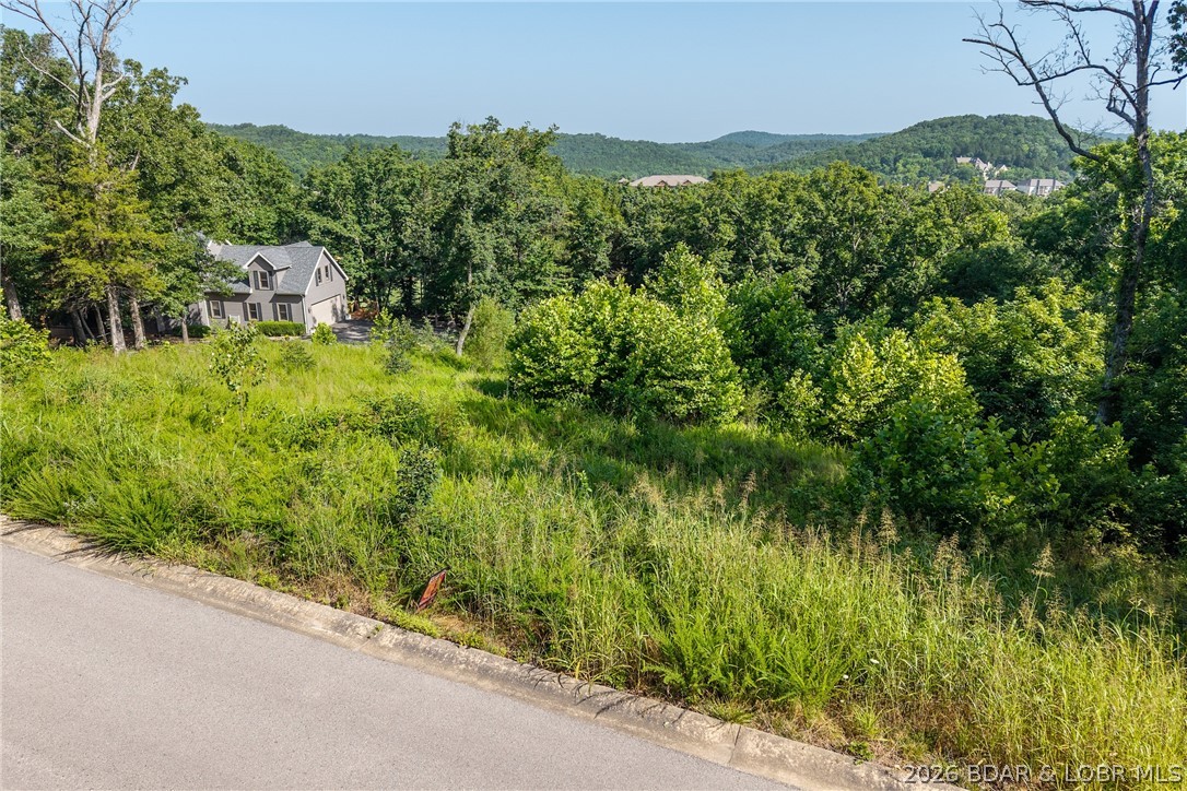 Old Kinderhook - Land