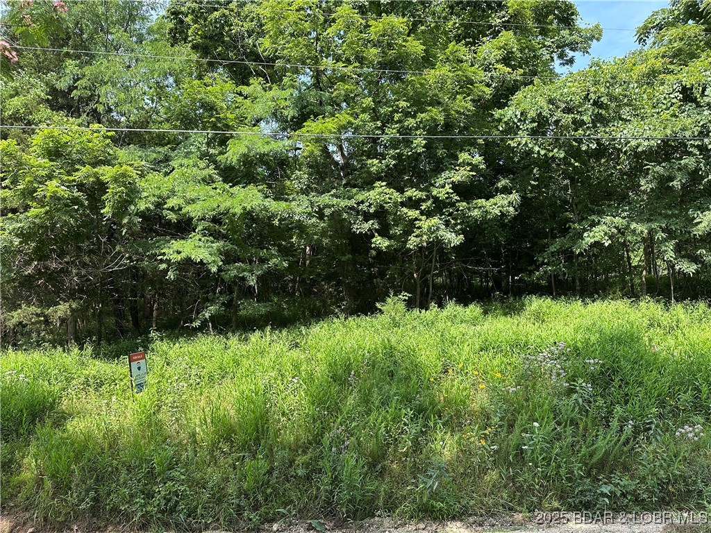 Build Your Dream Retreat at Lake of the Ozarks – Lot 7R, Holiday Hills Subdivision
Discover the perfect spot to create your ideal lake escape with this 0.48-acre second-tier lot in the desirable Holiday Hills Subdivision at Lake of the Ozarks. Lot 7R offers a peaceful, wooded setting just minutes from the water—ideal for a full-time home, weekend getaway, or investment property.
With nearly half an acre to work with, there's plenty of space for your custom build. Community water and electric are available nearby, making development convenient and cost-effective. You'll enjoy close access to boating, fishing, lakeside dining, and everything the Lake of the Ozarks area has to offer.
Tucked into an established and quiet neighborhood, Lot 7R delivers the charm of lake living without the premium price of waterfront property.
Make your lake life dream a reality—Lot 7R is ready for you.