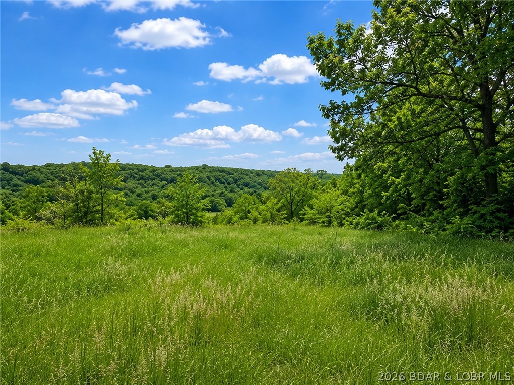 Discover the beauty and tranquility of the Missouri countryside with approximately 40 acres of rolling land offering a perfect blend of open pasture, mature timber, and breathtaking views. From sweeping hilltop vistas to peaceful meadows and wooded trails, this property provides the ideal setting for those seeking privacy, recreation, or the perfect place to build their dream home. A major advantage of this property is the existing homesite already in place. A ready-to-build house pad/slab is located on the property with water, sewer, electric, and fiber internet already run to the site, saving valuable time and expense for future development. Whether you're planning a custom home, weekend retreat, or family estate, much of the groundwork has already been completed. The diverse landscape creates endless opportunities for hunting, hiking, horseback riding or farming. Open fields provide usable acreage while the wooded sections add beauty, shade, and a sense of seclusion rarely found. Seller will survey and separate approximately 40 acres prior to closing. Schedule your private showing today and experience the possibilities this remarkable property has to offer.