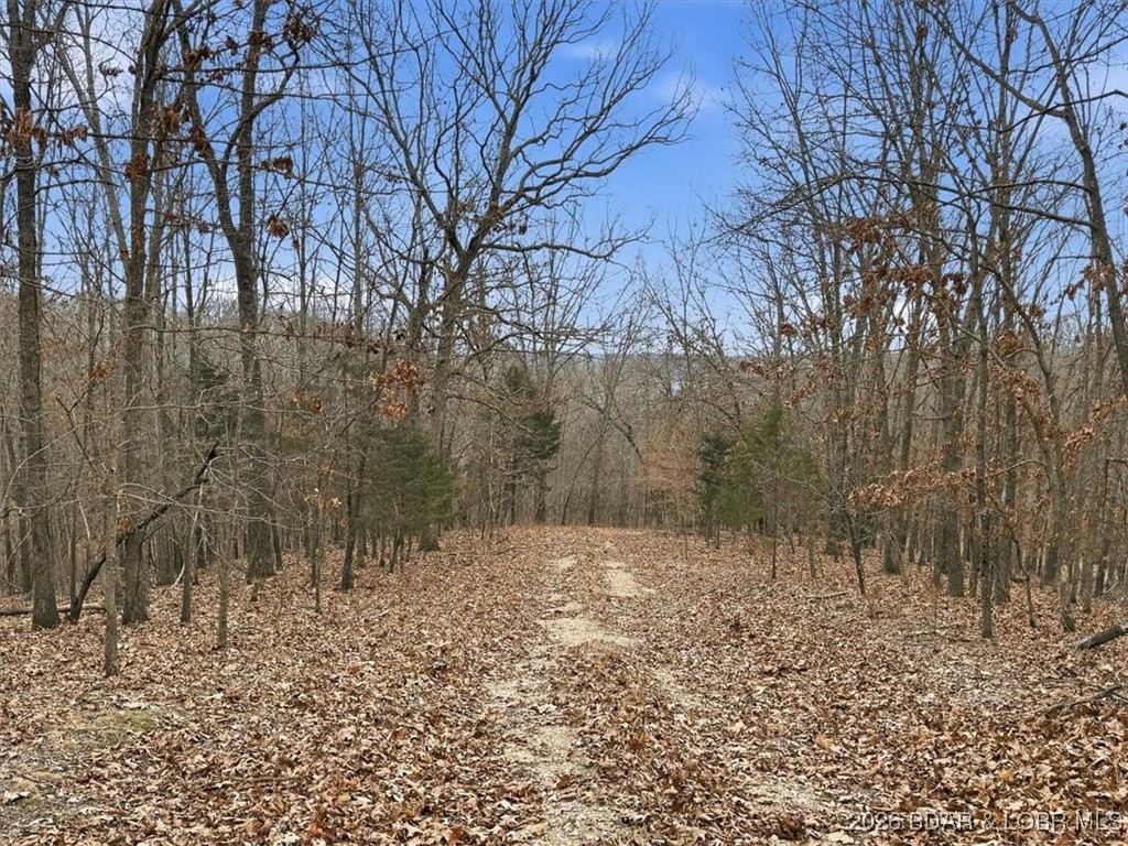 Coffman Bend #2 - Land