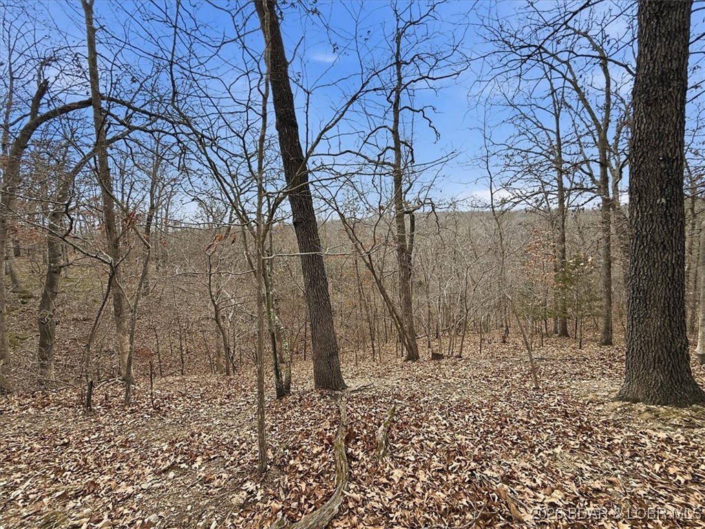 Coffman Bend #2 - Land