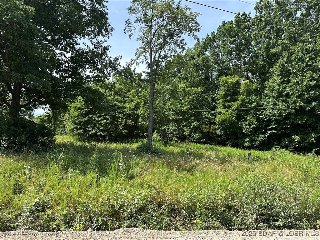 Build Your Dream Retreat at Lake of the Ozarks – Lot 2R, Holiday Hills Subdivision

Don’t miss this opportunity to own over half an acre in the sought-after Holiday Hills Subdivision at Lake of the Ozarks. Located on a second-tier lot, Lot 2R offers the perfect balance of privacy and lake proximity—just minutes from the water, yet tucked into a peaceful, wooded setting.

This generous lot provides ample space to build your ideal full-time residence, weekend getaway, or vacation rental. With electric and community water nearby, it’s ready for your custom vision. Enjoy the natural beauty and laid-back lifestyle the lake is known for, with easy access to boating, fishing, restaurants, and local attractions.

Lot 2R is located in a desirable neighborhood, offering a tranquil atmosphere with lake access just down the road. Whether you’re looking to settle in permanently or invest in a vacation property, this lot provides a fantastic opportunity to bring your plans to life.

Start building your lake life today—Lot 2R is your blank canvas in the heart of the Ozarks.