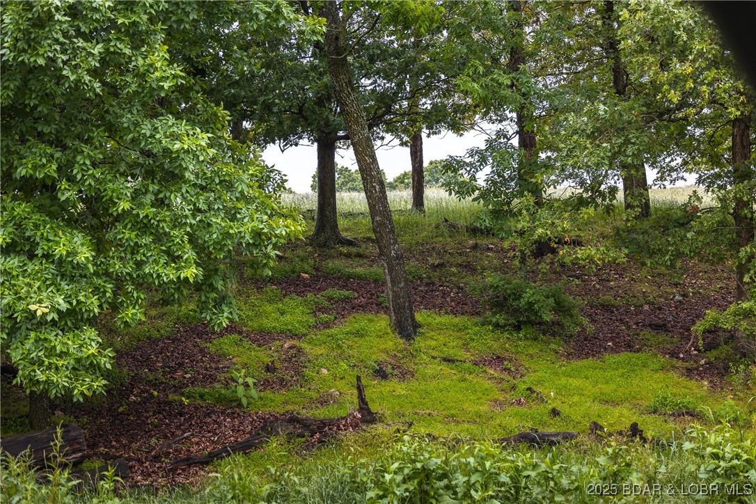Out of Area - Land