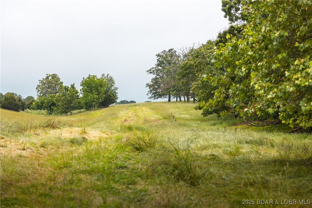 Out of Area - Land