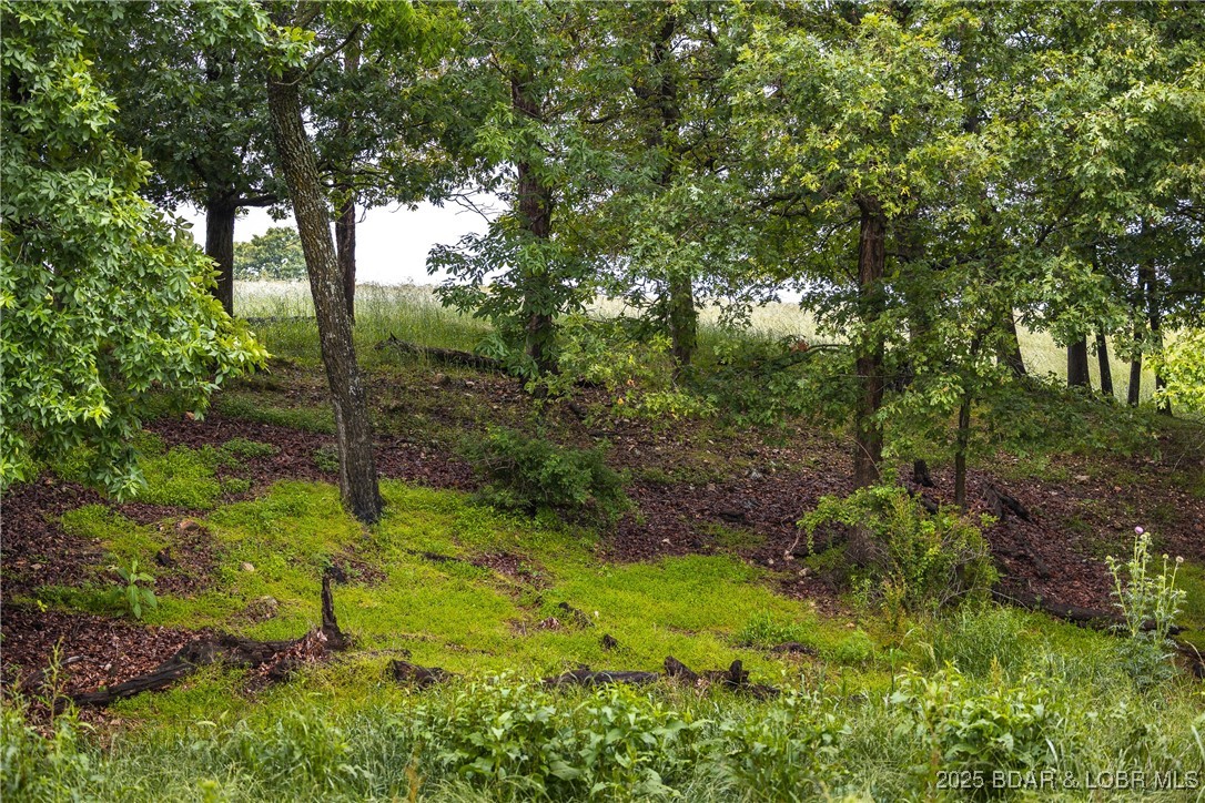 Out of Area - Land