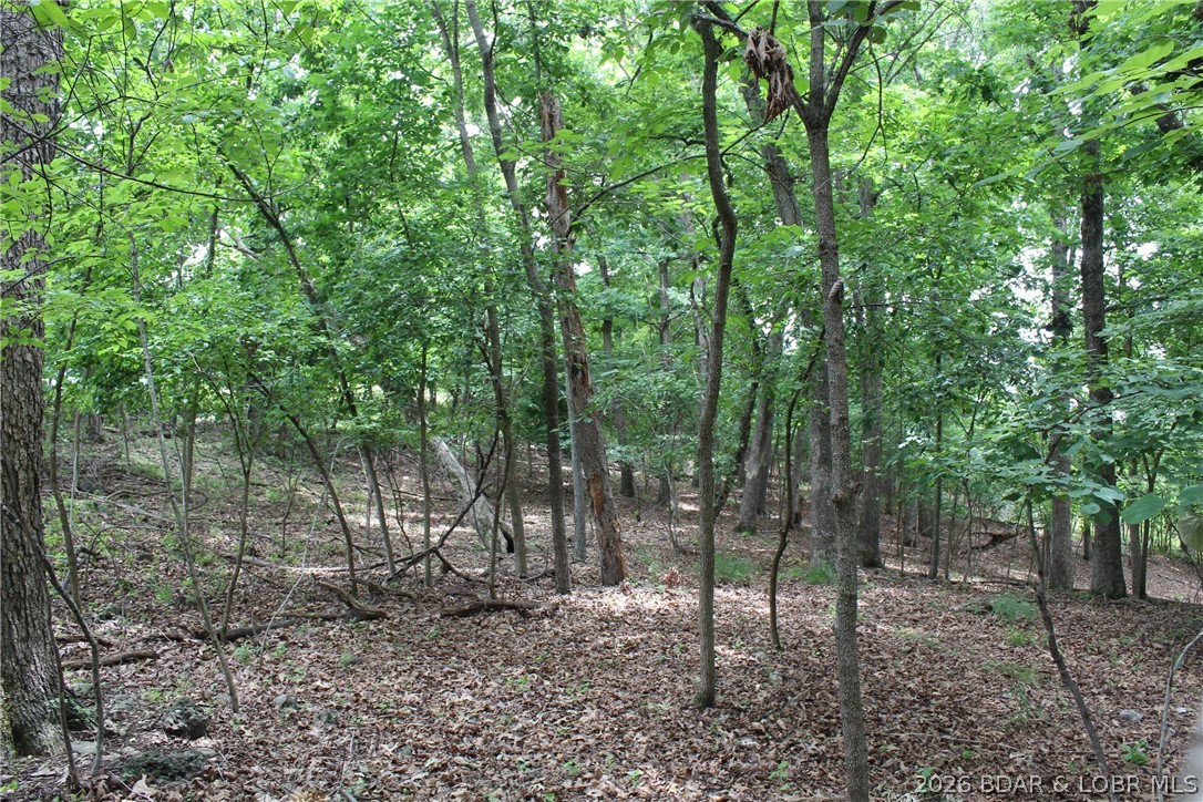 Island View Acres - Land