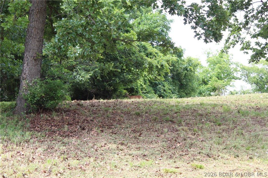 Island View Acres - Land