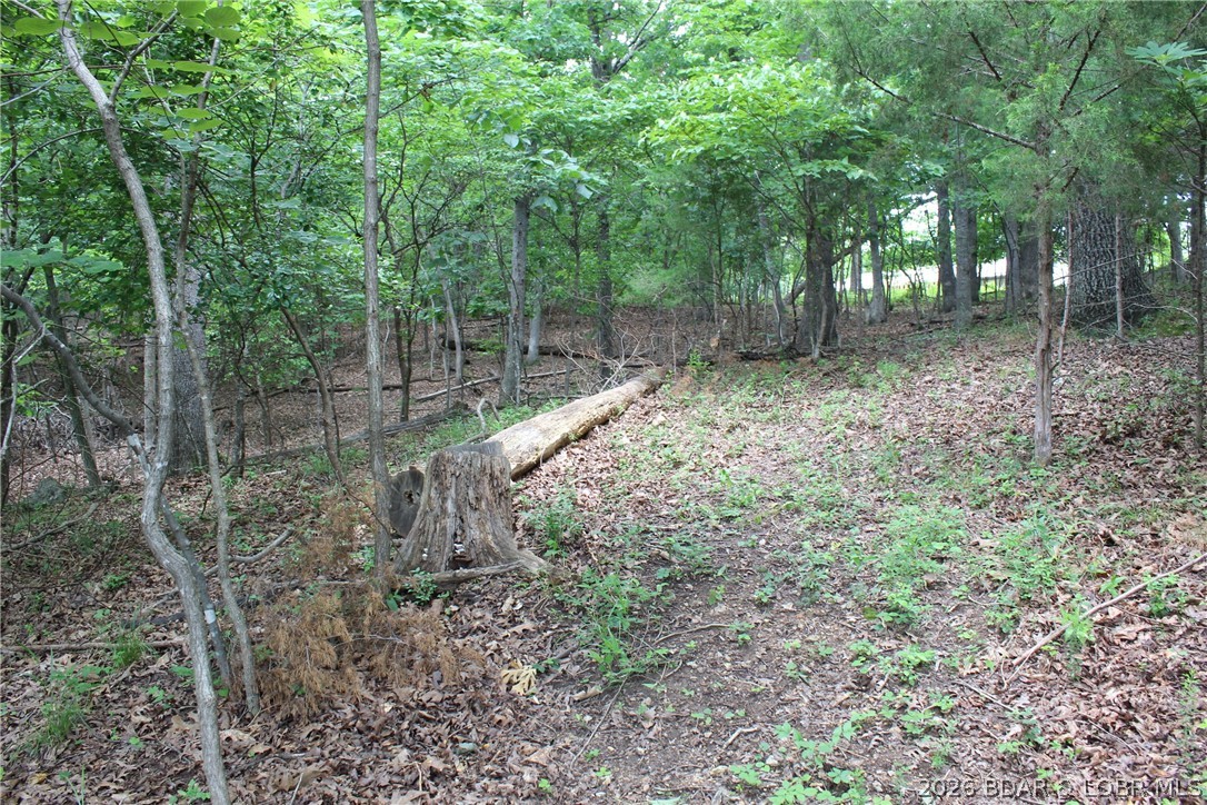 Island View Acres - Land