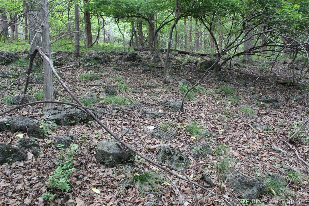 Island View Acres - Land
