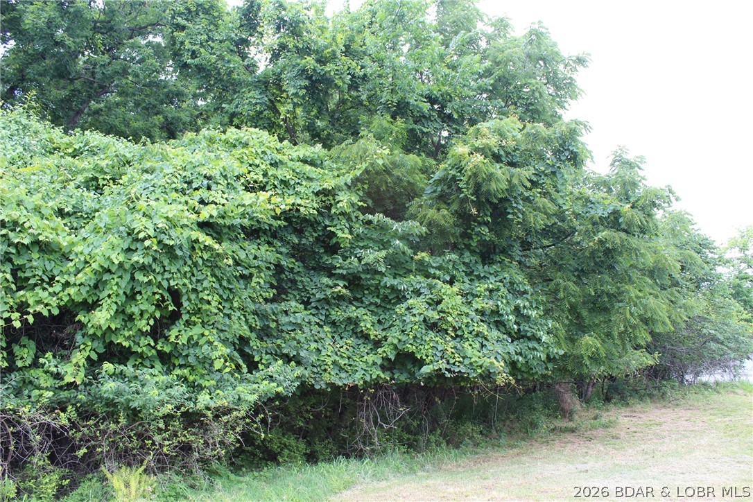 Island View Acres - Land