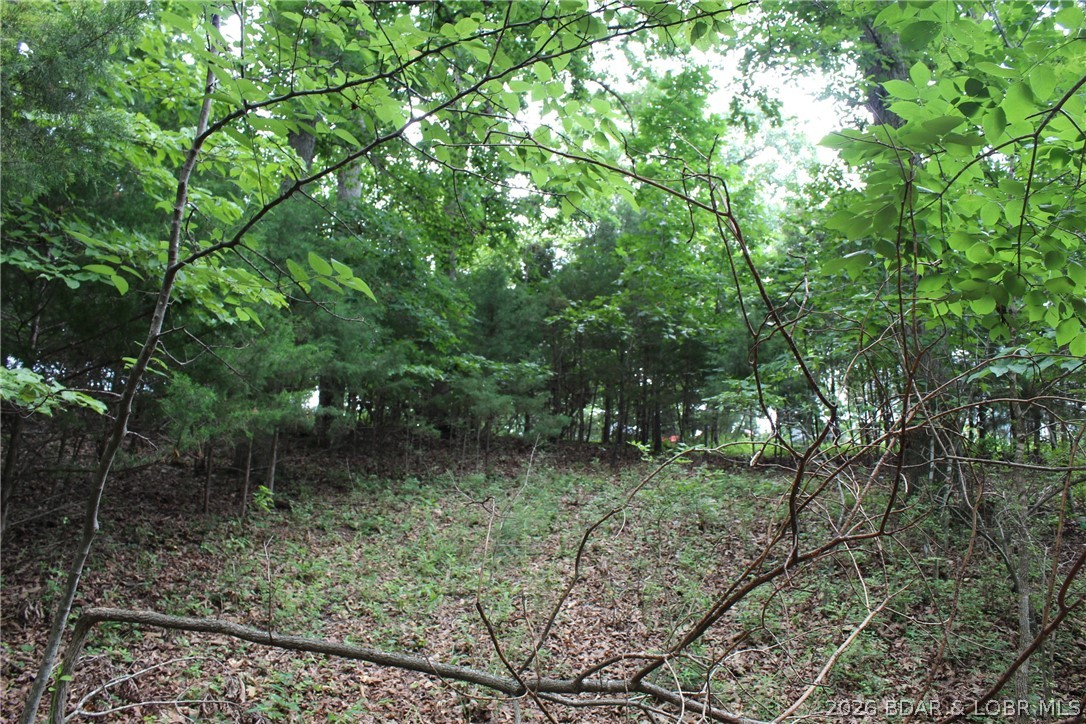 Island View Acres - Land