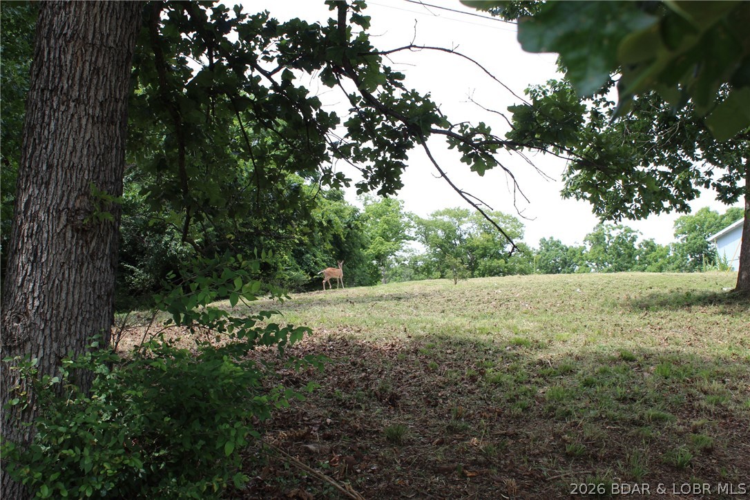 Island View Acres - Land