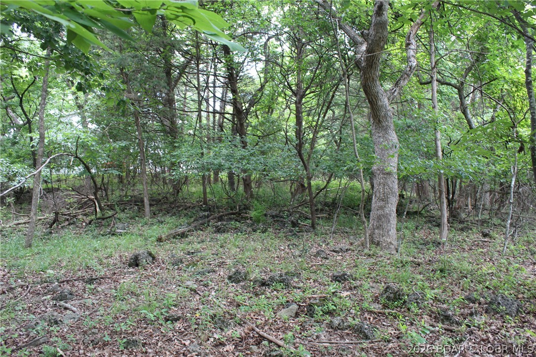 Island View Acres - Land