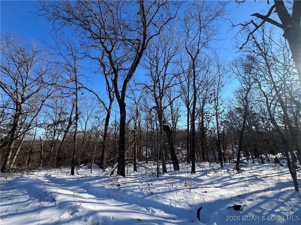 Whispering Oaks - Land
