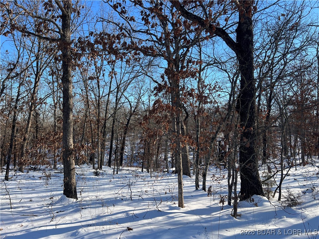 Whispering Oaks - Land