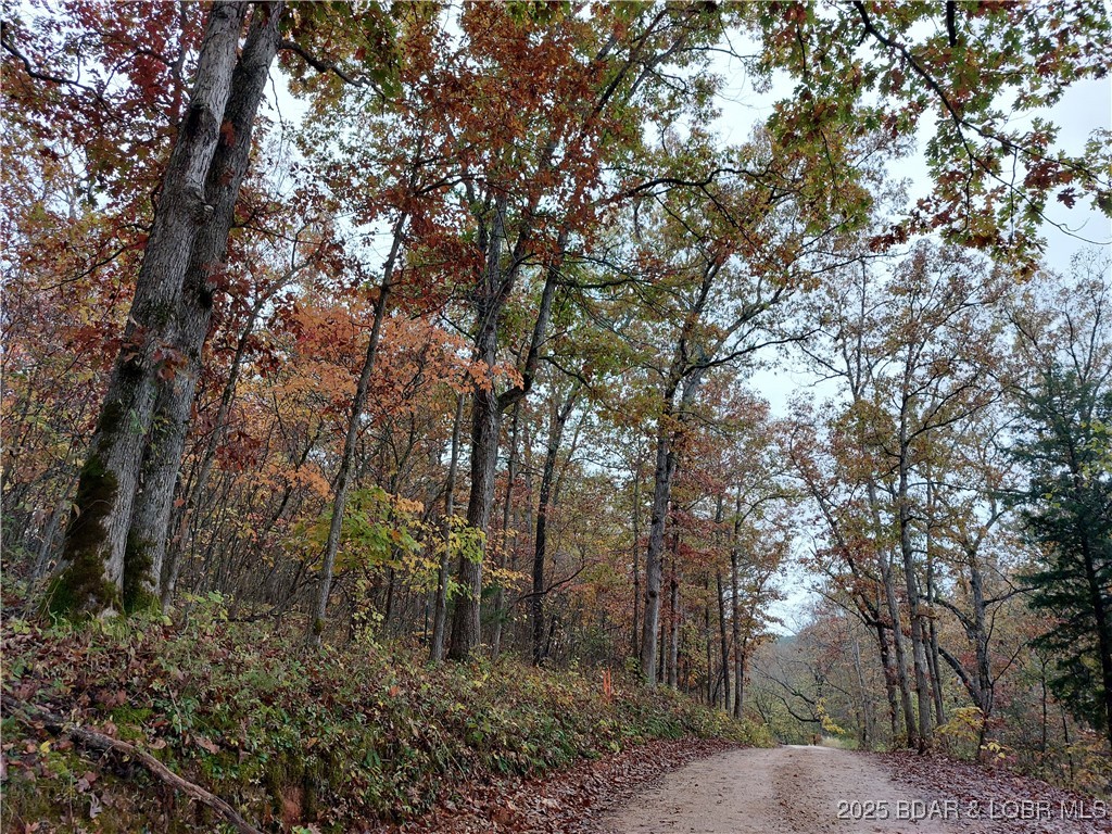 6+/- Acres with electric access in multiple areas saving you money on running power to your building site! County maintained road frontage for easy access! High speed fiber optic internet available for home or business use! NO restrictions! No HOA! NO Building codes or inspections required. You can build a dream home or multiple homes, camp or hunt deer and wild turkey! Enjoy fishing for Bass, Crappie, Catfish and Bluegill at the 54,000 acre Lake of the Ozarks less than 1/4 mile away! Beautiful, wooded, vacant land that you need to see!