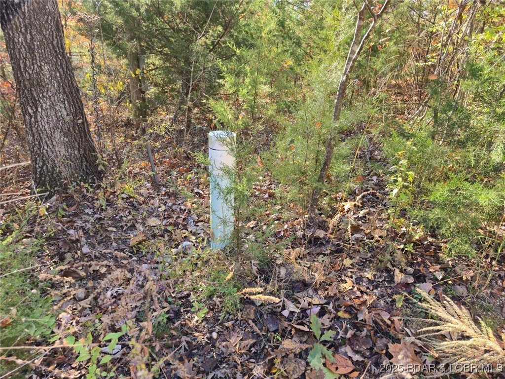 Wildwood - Land