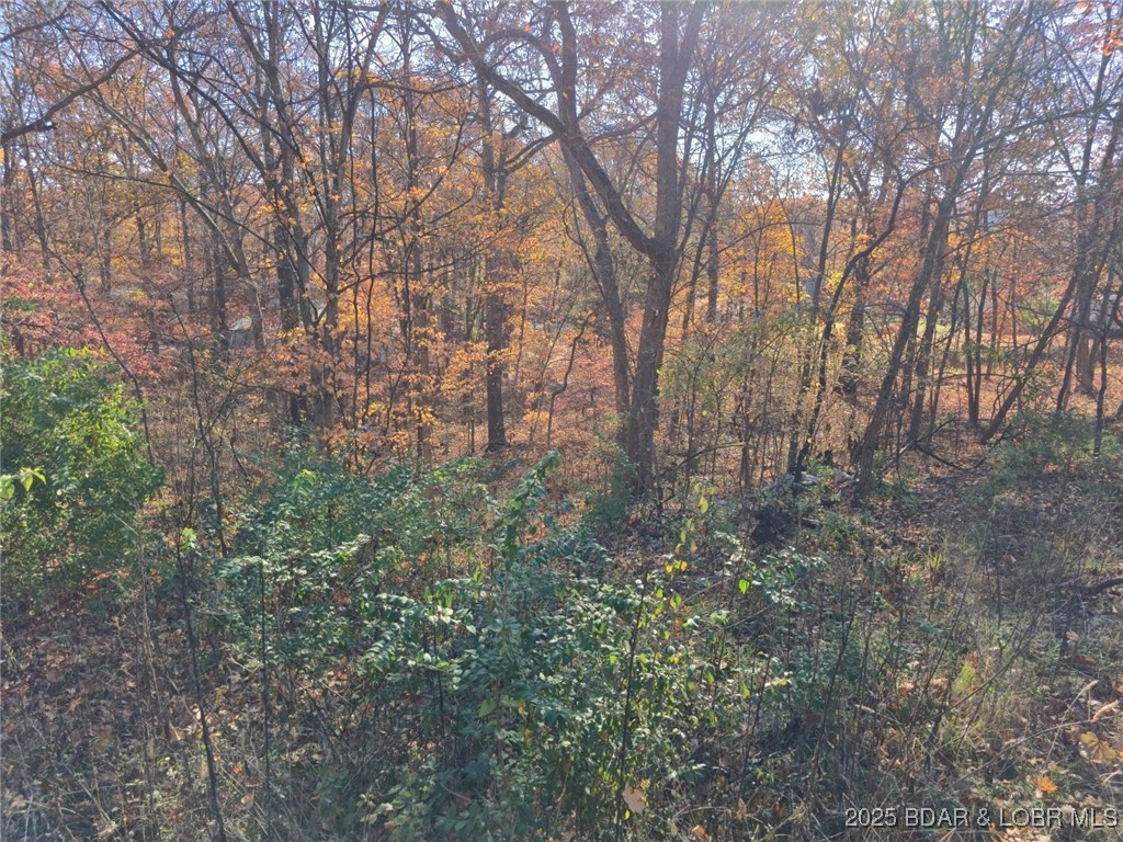 Wildwood - Land