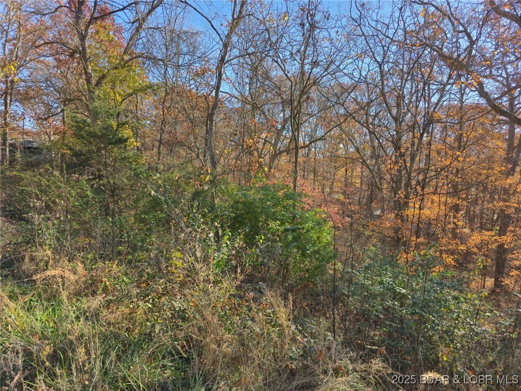 Wildwood - Land