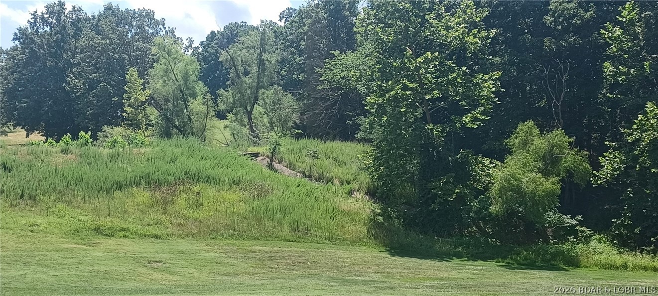 Discover the perfect opportunity to build your custom home on this beautiful golf course lot nestled between hole 15 Tee box and hole 16 fairway.   Whether you're looking for a full-time residence or a weekend retreat, this property offers the ideal combination of privacy, natural beauty, and the relaxing lifestyle that comes with golf course living. This is a wonderful opportunity to invest in a unique property and create a home designed to fit your lifestyle. Imagine enjoying your morning coffee overlooking the course, spending your afternoons golfing, and experiencing everything this desirable community has to offer.  City sewer and city water service are available to the property.  There is no current street access to the lot.