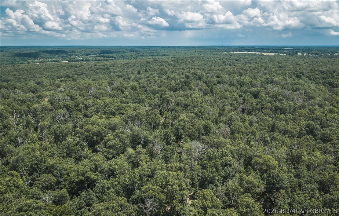 Six 40 m/l acre tracts located in Camden County. These tracts have mature, old growth ,marketable timber. Great deer and turkey hunting with several potential building spots and electric at the main road (not access road). Close proximity to the little Niangua creek and Lake Of the Ozarks.