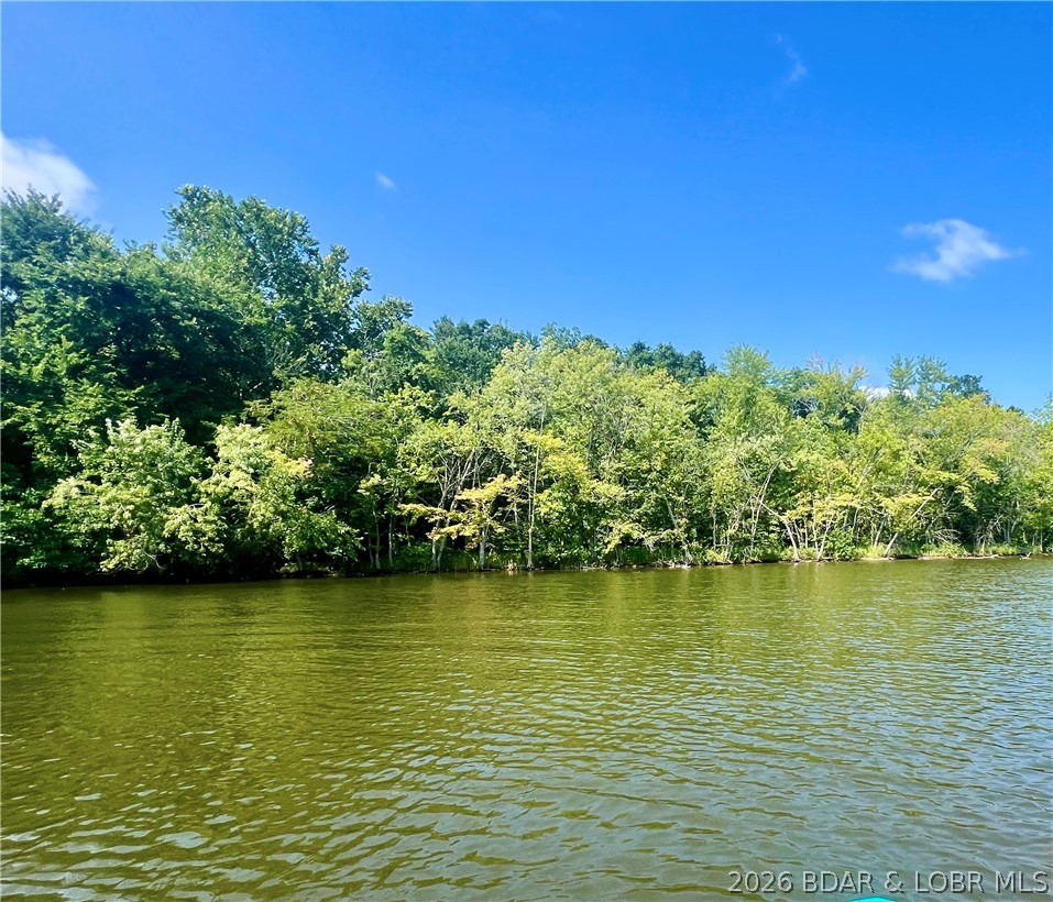 Coffman Bend #1 - Land