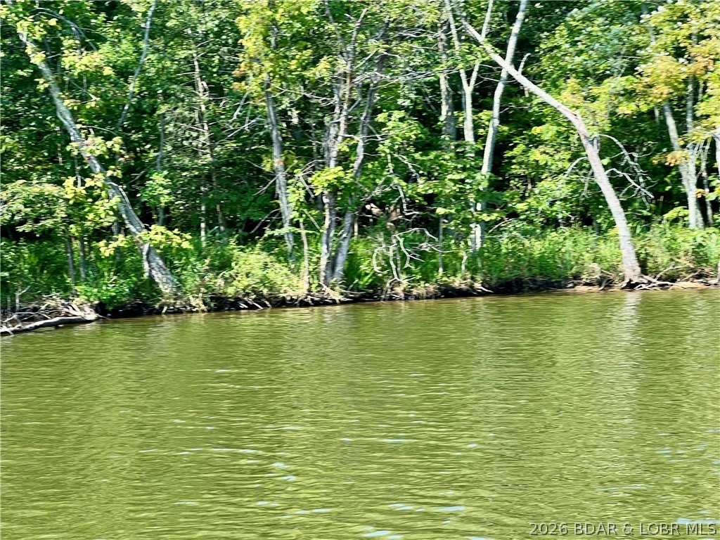 Coffman Bend #1 - Land