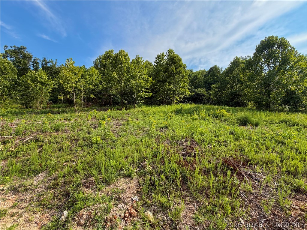 Forest Ridge Subdivision - Residential