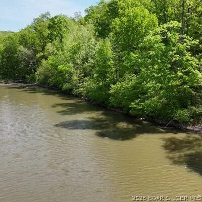 Just under 1/2 acre lakefront lot in Lake Forest estates. No restriction so build a cabin, home or RV. or that dream home. Quiet great fishing area. If you want remote this is it. Enjoy nature, the lake and the quiet all at once. The adjacent .71 ac lot is also for sale. MLS 3588907 Make it all yours