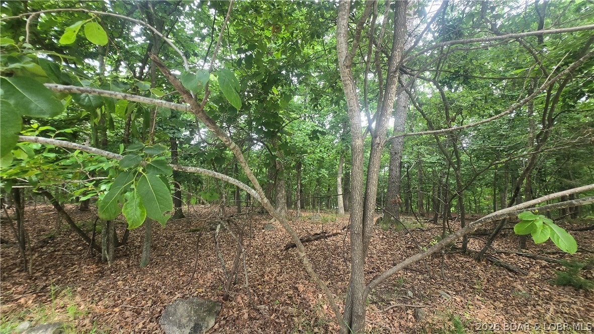 Kays Point #8 - Land