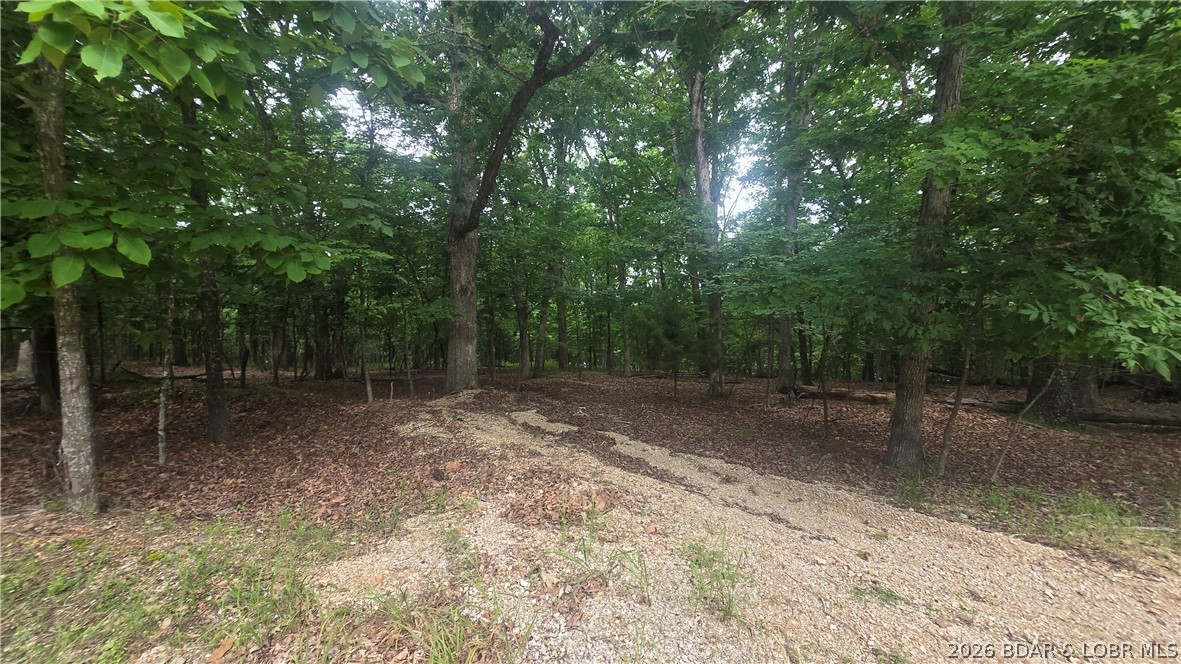 Kays Point #8 - Land