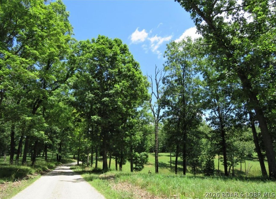 Timber Ridge - Land