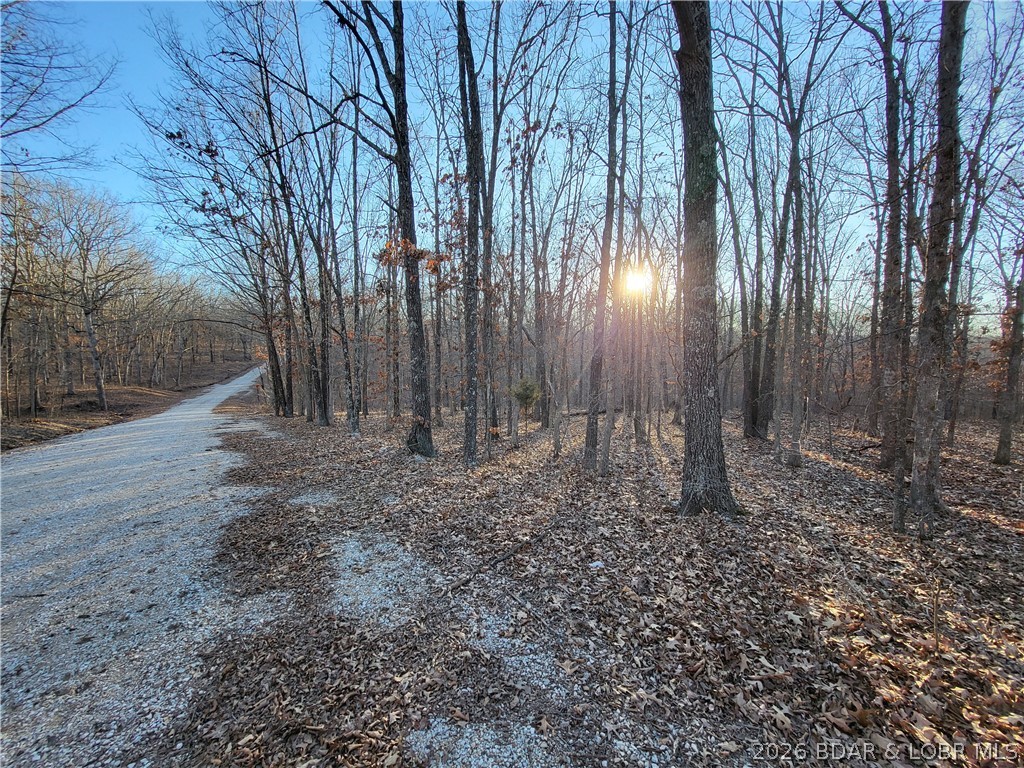 9.6 wooded acres in the gated Forbes Lake of the Ozarks Park community—perfect for your dream home or private getaway. Enjoy abundant wildlife, Ozark serenity, and outstanding amenities including 3 interior lakes, 3 boat ramps to the quieter side of Lake of the Ozarks, day docks, tennis courts, RV park, and more. Peaceful country living just 30 minutes from Warsaw with easy access from Kansas City and Springfield.