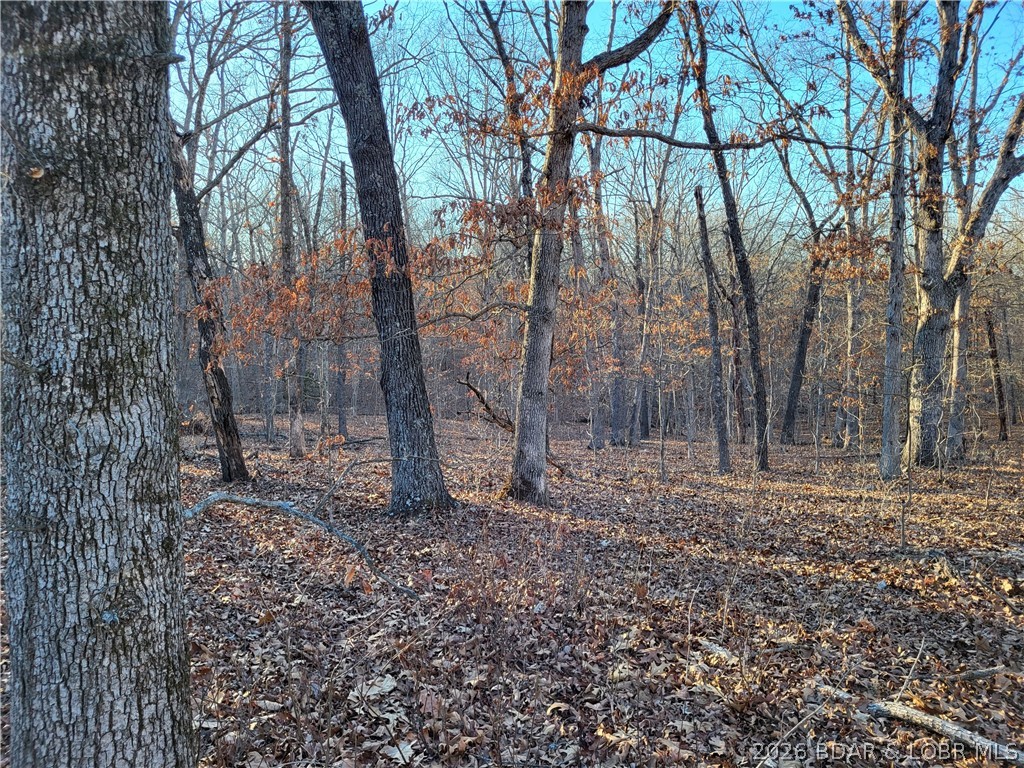 Forbes Lake of the Ozarks - Land