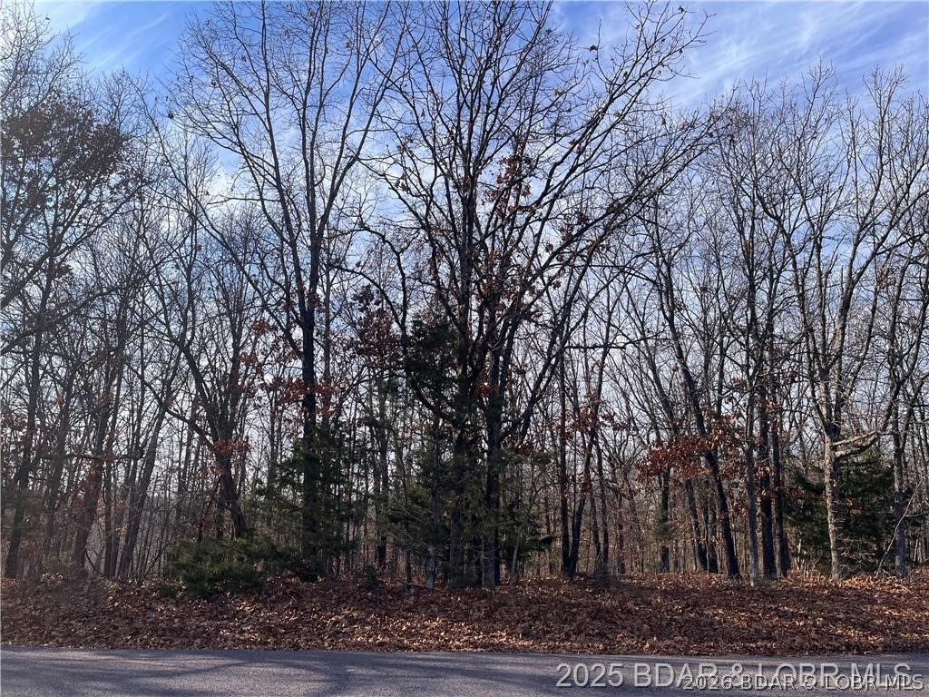 Looking for privacy without giving up convenience? This property offers the perfect balance of seclusion and accessibility. Located less than 5 miles from Laurie, you'll enjoy quick access to grocery stores, restaurants, shopping, and everyday essentials while still feeling tucked away in a peaceful, wooded setting.

Just minutes from Indian Rock Golf Course, the local movie theater, and a variety of lakefront and off-water dining options, this location provides easy access to many of the amenities that make Lake living so desirable. Light deed restrictions help protect property values while still allowing flexibility, and manufactured homes are permitted when placed on a permanent foundation.

The property's gentle terrain offers multiple attractive building sites, whether you're planning a full-time residence, weekend retreat, or additional outbuildings. With ample space to create your ideal homesite, the possibilities are wide open.

Seller is willing to divide the property into smaller parcels. See MLS #3582822 and MLS #3582859 for individual parcel options.