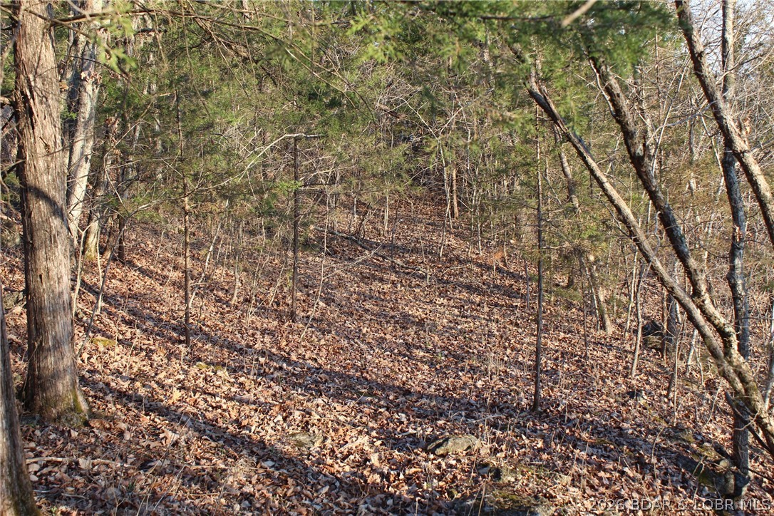 Indian Creek Hills - Land