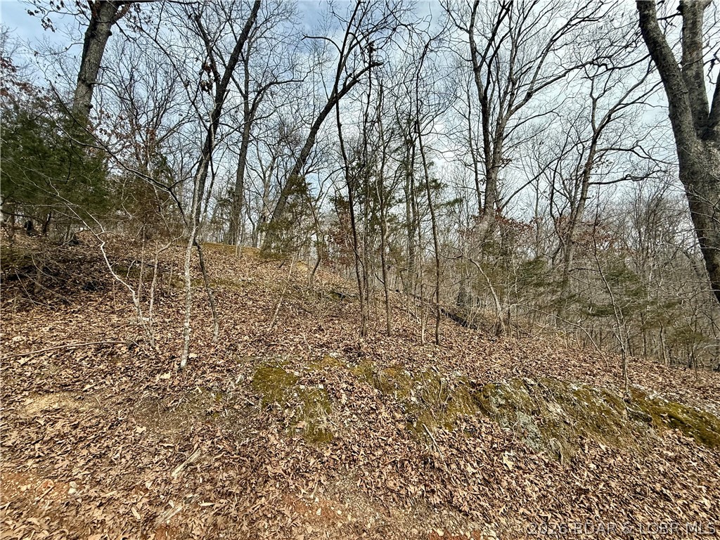 Wooded corner lot of land with no current neighbors. Affordable piece of property for recreational use or investment. Road access will need improvement, making it a great opportunity for someone looking to create their own private retreat.