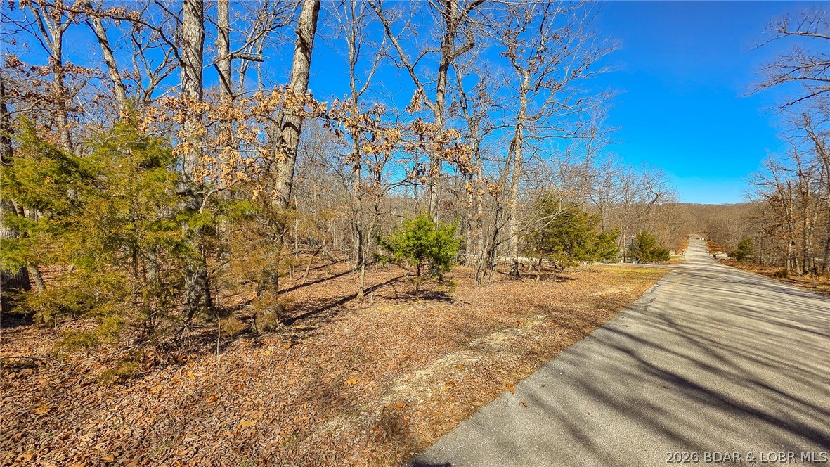 Build Your Porto Cima Retreat! Discover the perfect blend of luxury and convenience on this beautiful lot featuring mature hardwoods and a gentle slope. The unique location provides double road frontage, meaning a driveway could be situated off E Lake Court or Lake Drive for maximum convenience. Enjoy the premier amenities of Porto Cima with the backyard backing to common ground, granting you "backdoor access" to the neighborhood swimming pool, tennis courts, and park. POA standards ensure a quality neighborhood with a minimum build of 1,100 sq. ft. Don't miss this versatile lot in a world-class community!