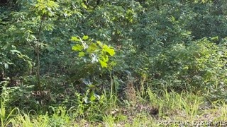 Indian Creek Hills - Land