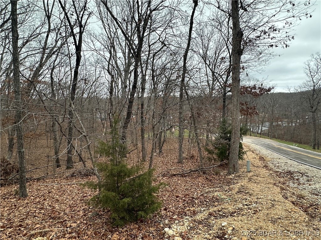 Cornett Cove No. 2 - Land