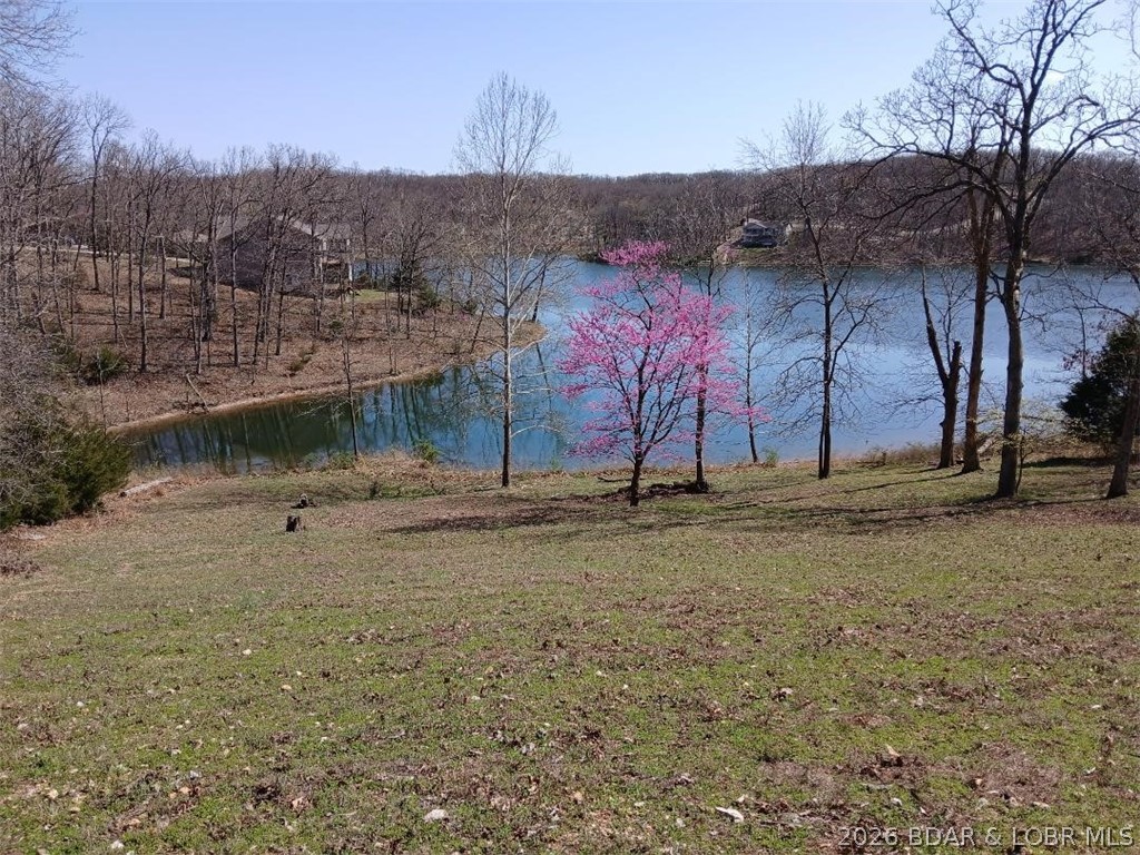 TREELINE LAKE: Gives Lot #71 & #72 good $value, since these lots are on a "no-wake/non-power" lake with approximately 139 feet of shore.  If you're looking for an exclusive, "quiet water niche .... then this location is for you. Purchasing this property would be similar to buying an "Estate site". Kayak friendly, Paddleboard Haven, Fishing Haven, and great for young swimmers. Parents and grandparents don't want to worry about boat wakes or noise - just a beautiful lake view. While most lots are overgrown, this land is already groomed. The owner of this property still gets access to the "BIG LAKE" through the Four Seasons community boat ramps, plus the pools, and golf course. MAKE IT YOUR LIFESTYLE!