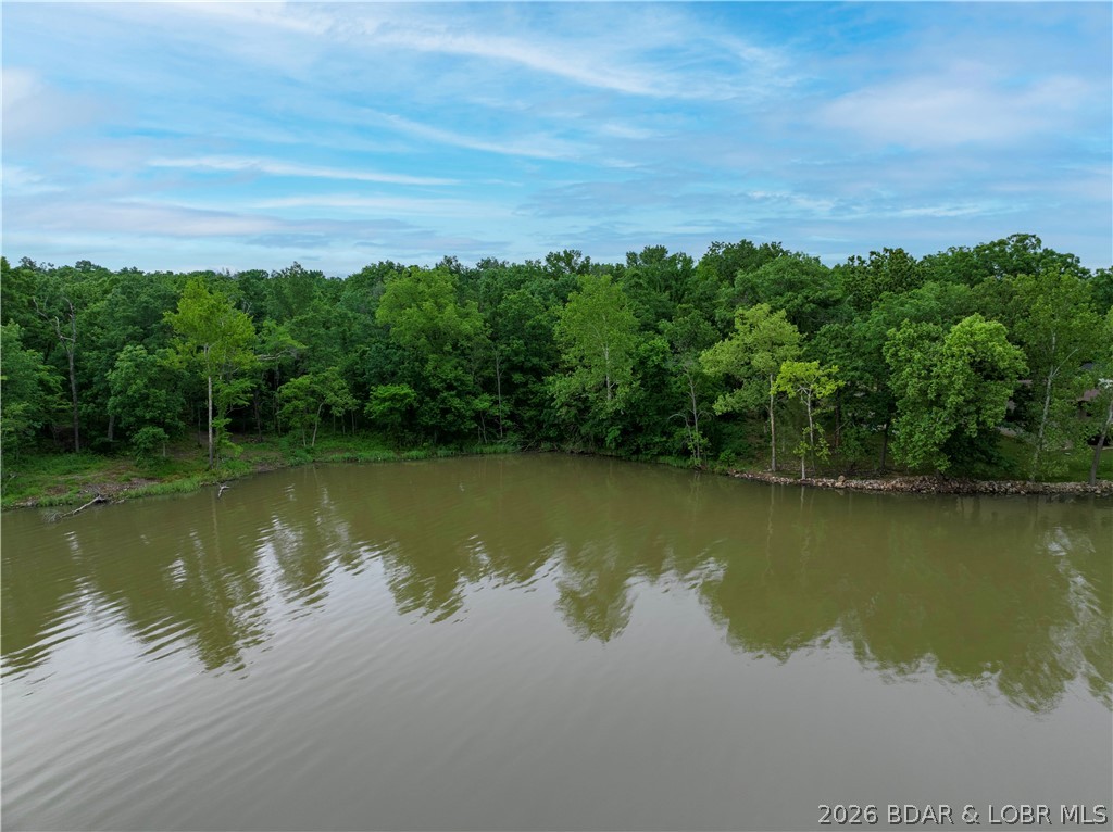 Large Lake Front Lot with 230 ft of Lake Front and 1.3 Acres. Mostly Wooded and in Bollinger Creek Cove. Great Location on the Lake with Cove protection.