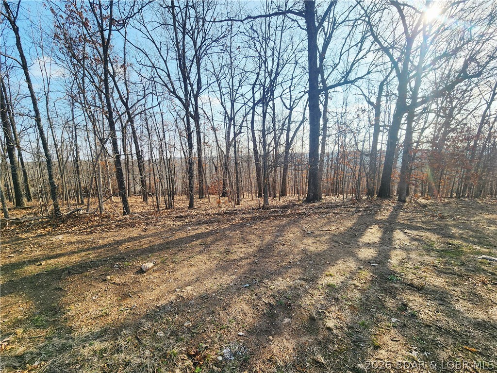 None - Land
