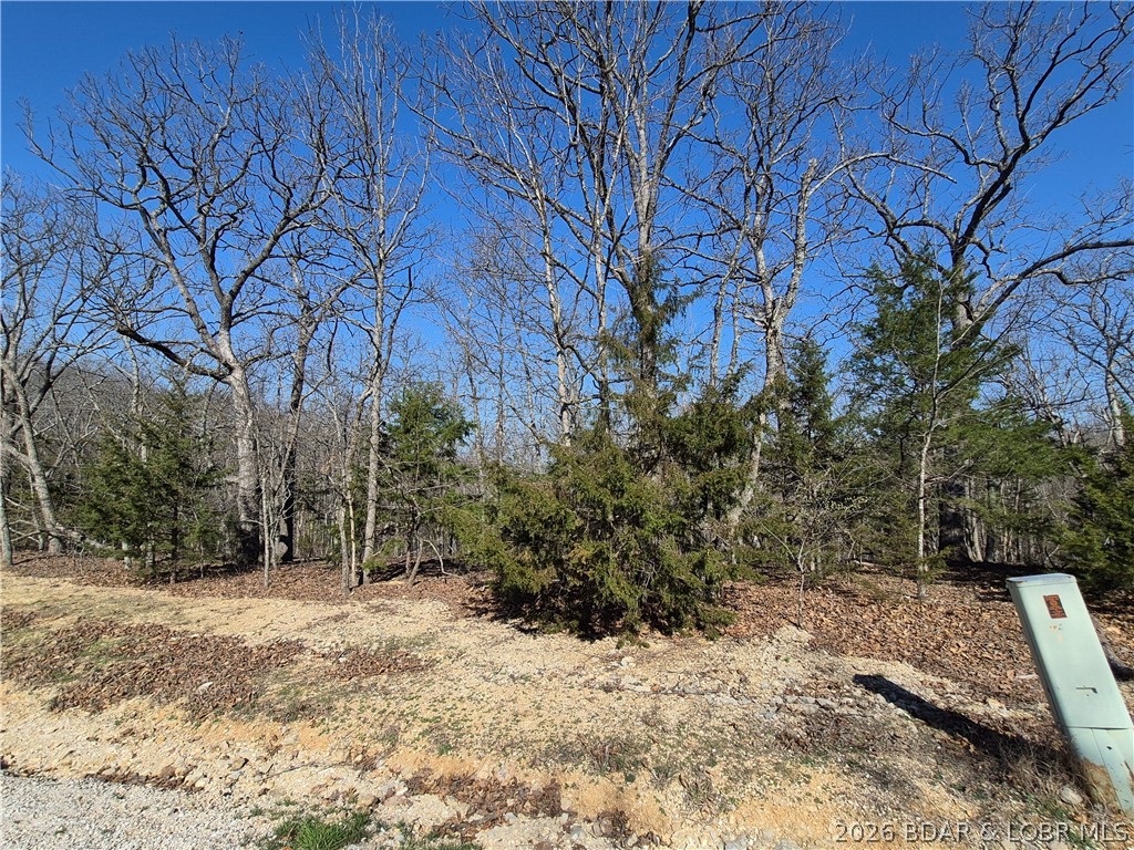 Cornett Cove No. 7 - Land