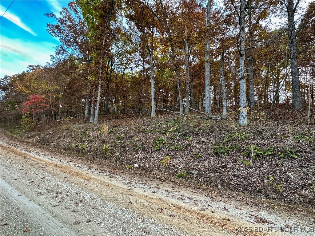4.77 Acres in Forbes Lake of the Ozarks Park!
Escape to the quiet beauty of Forbes Lake of the Ozarks Park! This 4.77-acre parcel offers the perfect setting to build your dream getaway or enjoy as your private retreat surrounded by nature. The gated community features three interior lakes for fishing, a boat ramp for access to the Lake of the Ozarks, RV and camping areas and wildlife sightings throughout the park. Whether you’re looking for weekend recreation or a future homesite, this property gives you all the benefits of seclusion and park amenities in one beautiful package.
