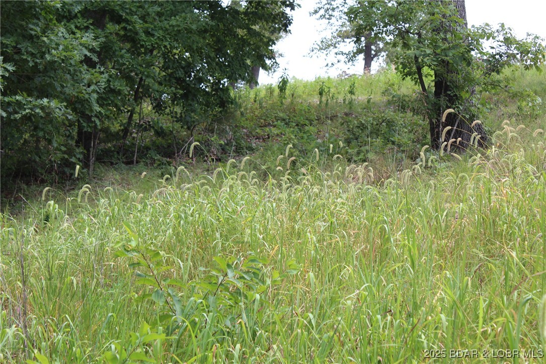 Woodhaven Estates - Land