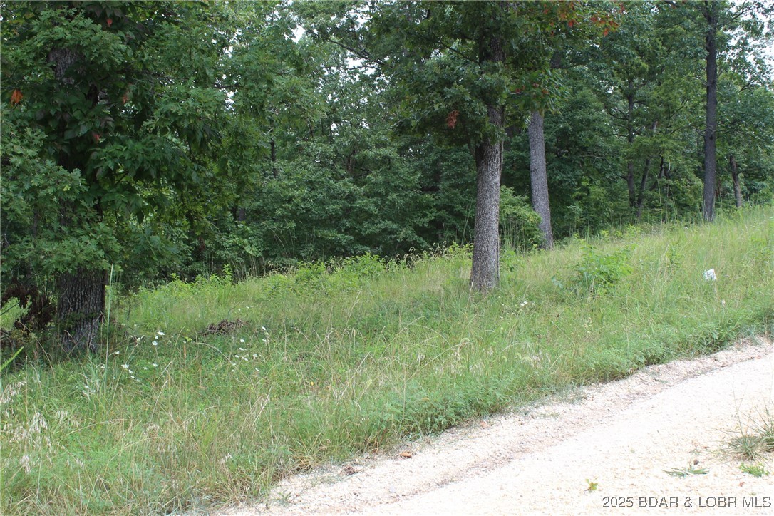Woodhaven Estates - Land