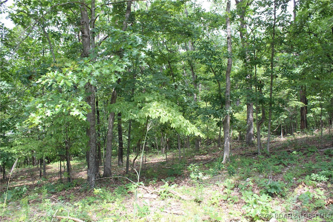 Woodhaven Estates - Land