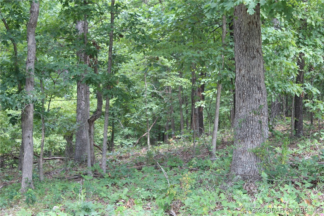 Woodhaven Estates - Land